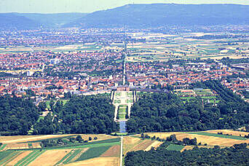 Maulbeerallee Maulbeerallee